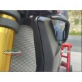 Carbonvani - Ducati Streetfighter V4 / V2 GP Style Carbon Fiber Winglet Kit (2 pieces)